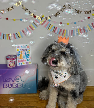 Gotcha Day Celebration Ideas: Honoring Your Rescue Dog's Adoption Anniversary