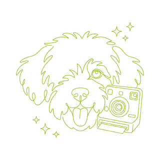 Perfectly Imperfect Resolutions kit — line pup with polaroid camera