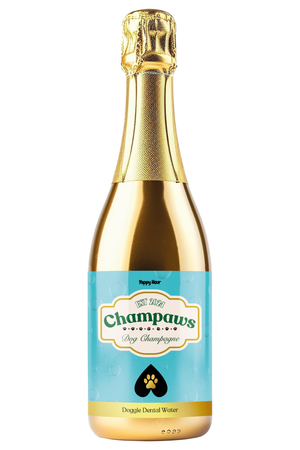 Dog Champagne — Gold Bottle Dental Toast