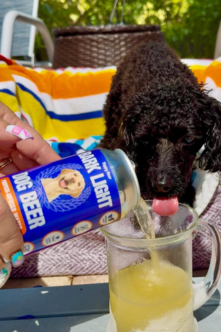 Bark Light Dog Beer - non-alcoholic dog-safe beer for pet celebrations by Yappy Hour