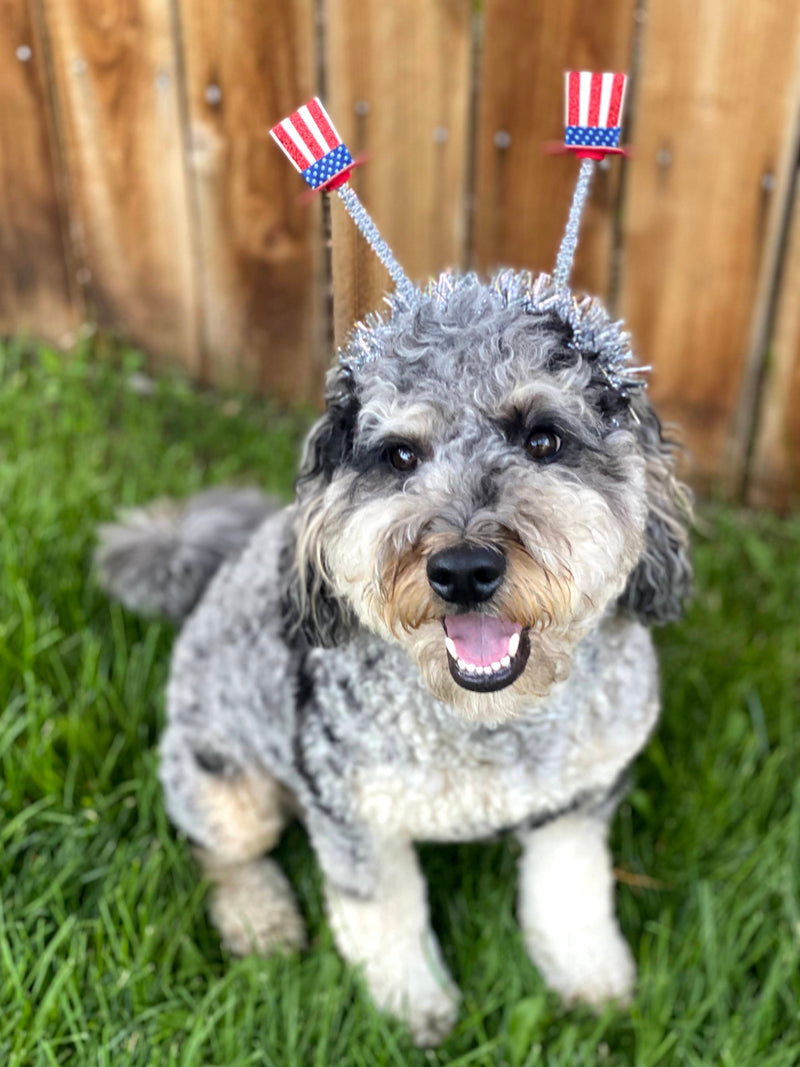 Run by a Human. Approved by the C-Suite.