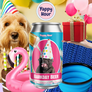 Barkday Beer — Watermelon (24-Pack)