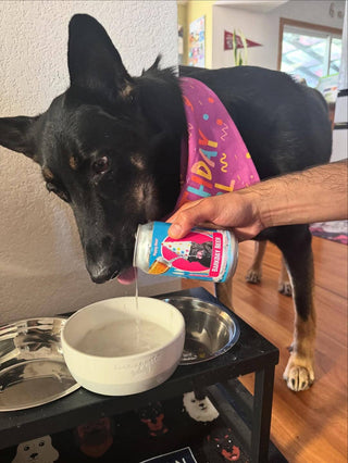 Barkday Beer — Watermelon (24-Pack)